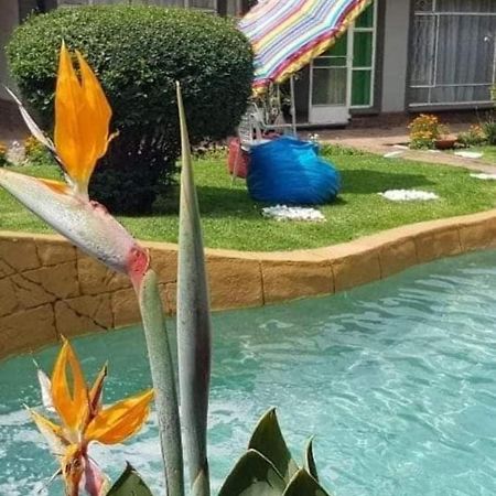 Alberton Guest House Luaran gambar