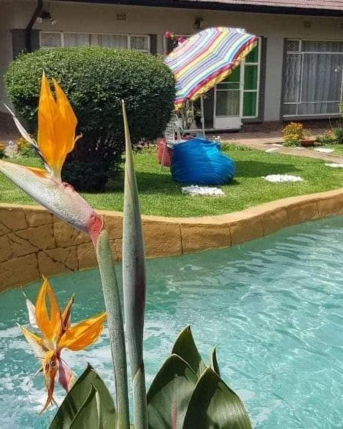 Alberton Guest House Luaran gambar